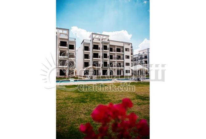 8142645 - صورة العقار 2
