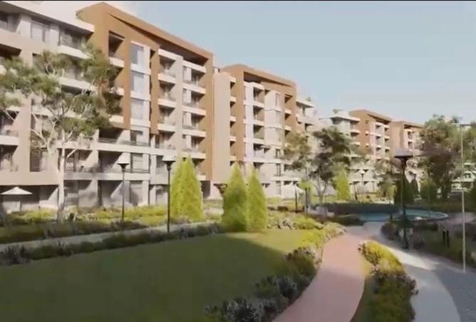 8483346 - Property Image 3