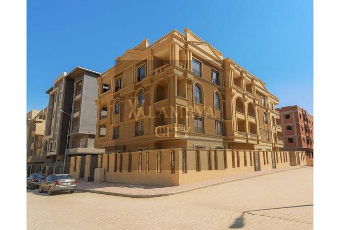 8114661 - Property Image 3