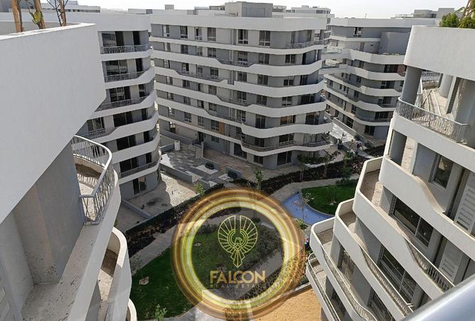 7906292 - Property Image 2