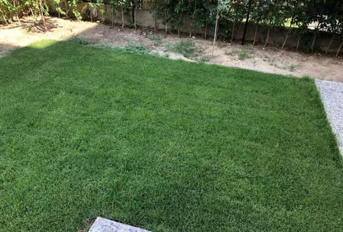8149935 - Property Image 3