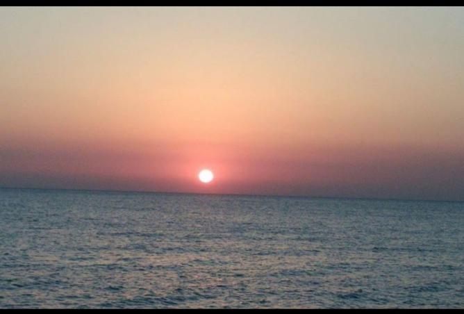8088300 - صورة العقار 3