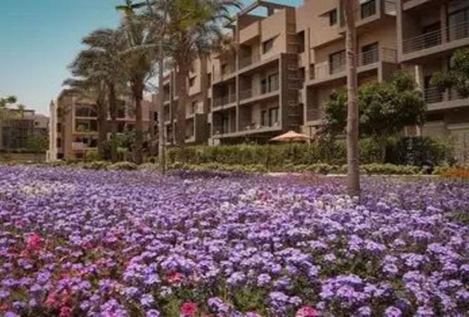 7881538 - صورة العقار 2