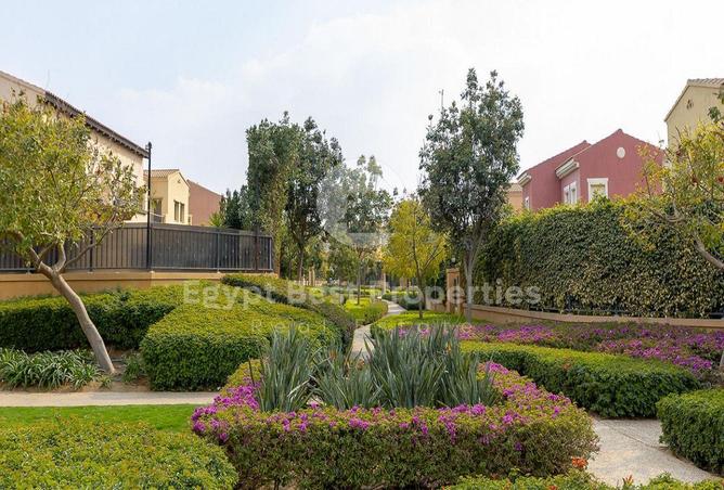 8245305 - Property Image 3