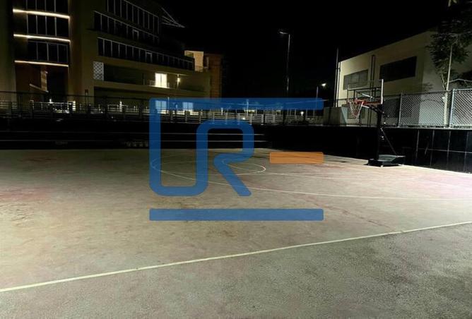 7987610 - Property Image 3