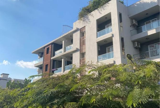 8402570 - الصورة الرئيسية للعقار