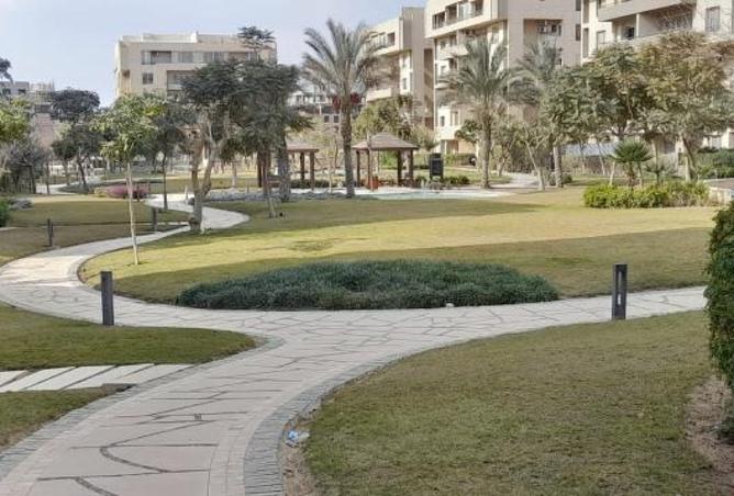 8186858 - Property Image 2