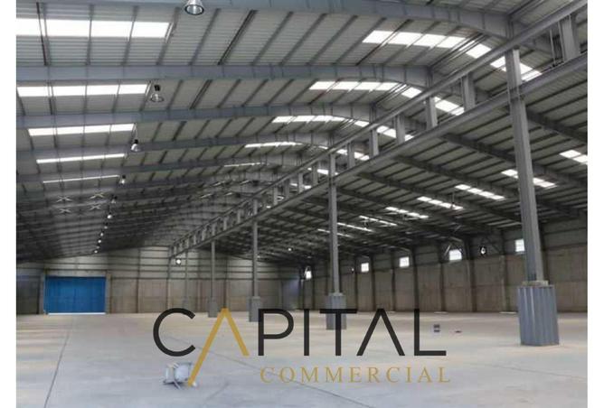 8206257 - Property Image 3