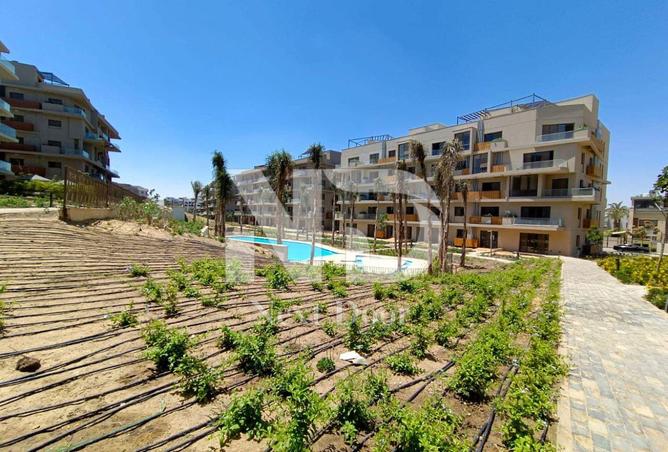 7896967 - صورة العقار 2