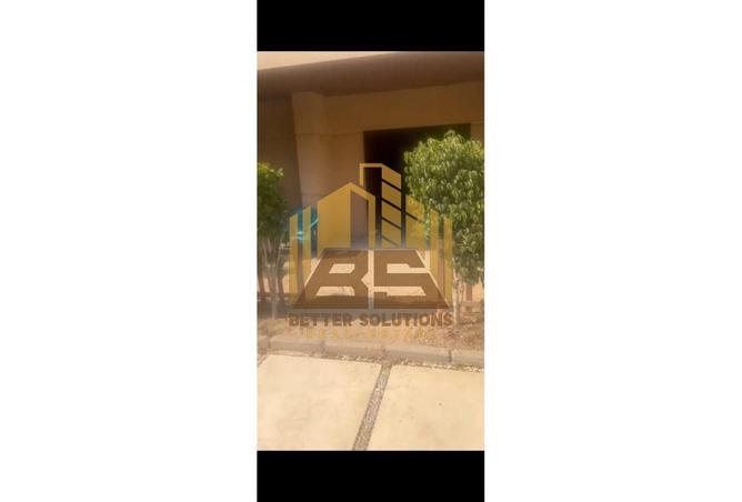 8155202 - Property Image 3