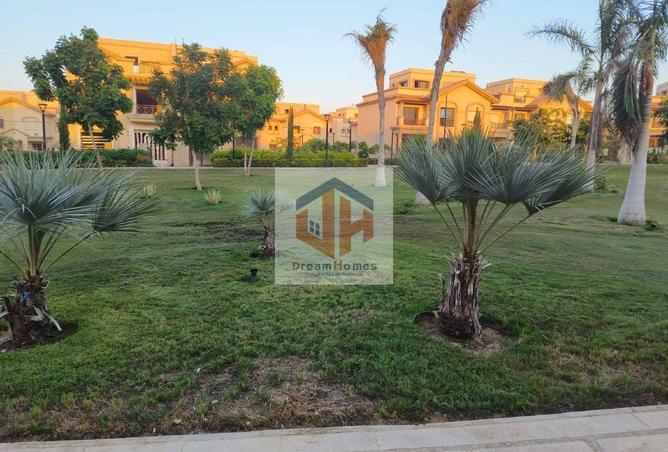 8039231 - Property Image 3
