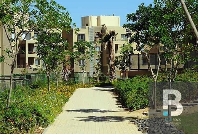 7973713 - صورة العقار 3