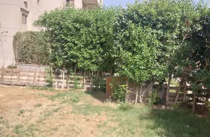 Apartment - 3 Bedrooms - 3 Bathrooms for rent in Cairo Festival City - North Investors Area - New Cairo City - Cairo