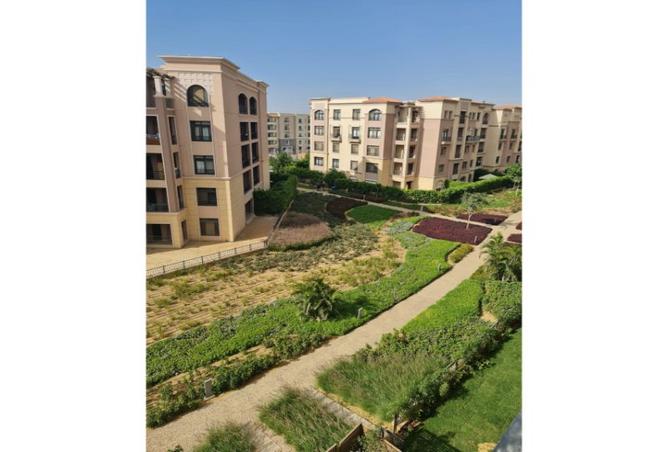 7966154 - صورة العقار 3