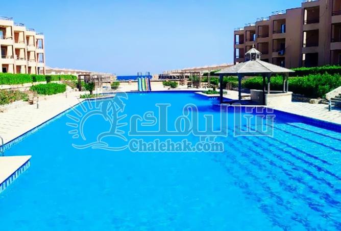 8019149 - صورة العقار 3