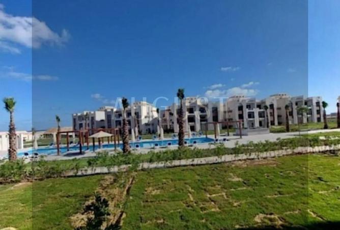 8065302 - Property Image 3