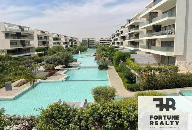 8390519 - Property Image 2