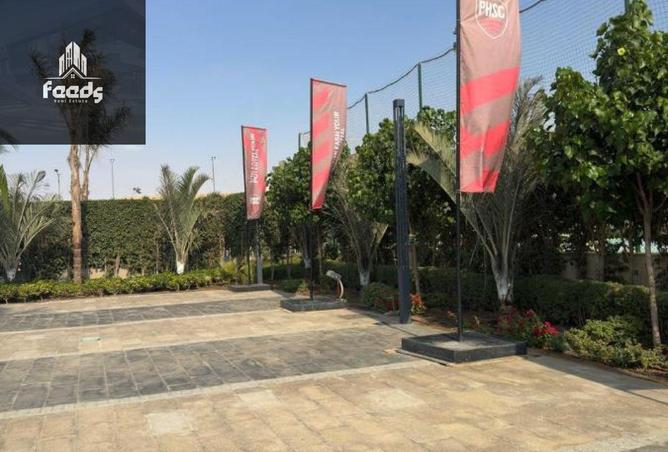 7955479 - صورة العقار 2