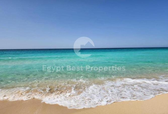 7929683 - Property Image 3
