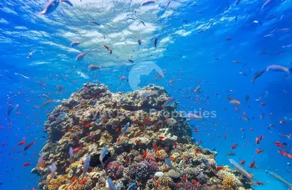 شاليه - 2 غرف نوم - 3 حمامات للبيع في مانجروفي ريزيدنس - الجونة - الغردقة - محافظة البحر الاحمر