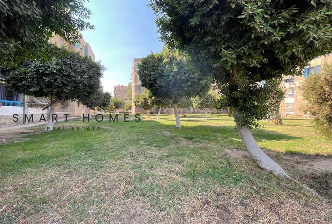 8168222 - صورة العقار 3