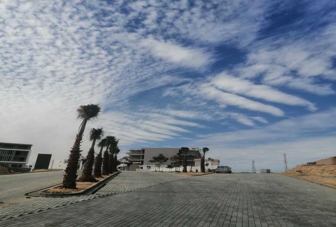 8245342 - Property Image 2