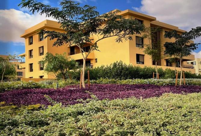 8340896 - Property Image 3