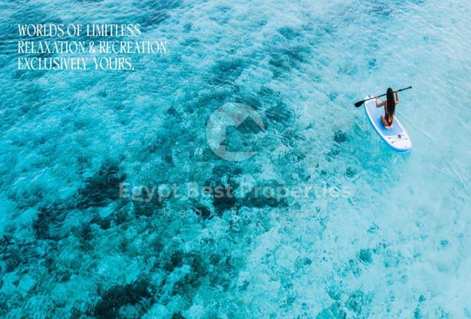 8203176 - Property Image 3