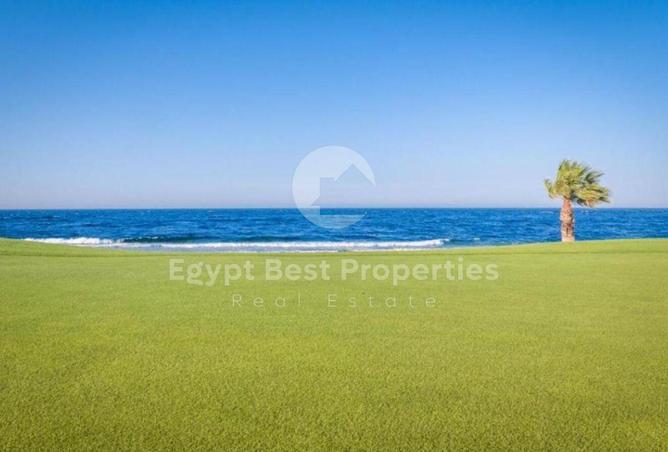 8161696 - Property Image 2