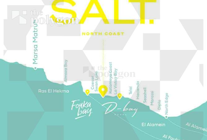 8188489 - Property Image 3