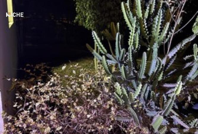 8254533 - الصورة الرئيسية للعقار