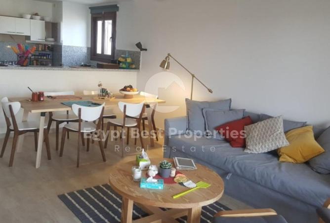 7972178 - Property Image 3