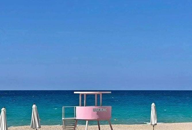 8205871 - صورة العقار 2