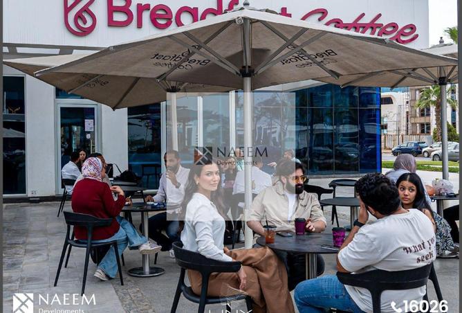 8331662 - Property Image 2