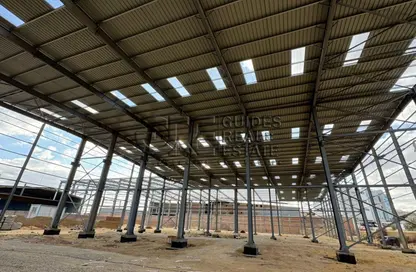 Factory - Studio - 7+ Bathrooms for sale in Cairo Alexandria Desert Road - 6 October City - Giza