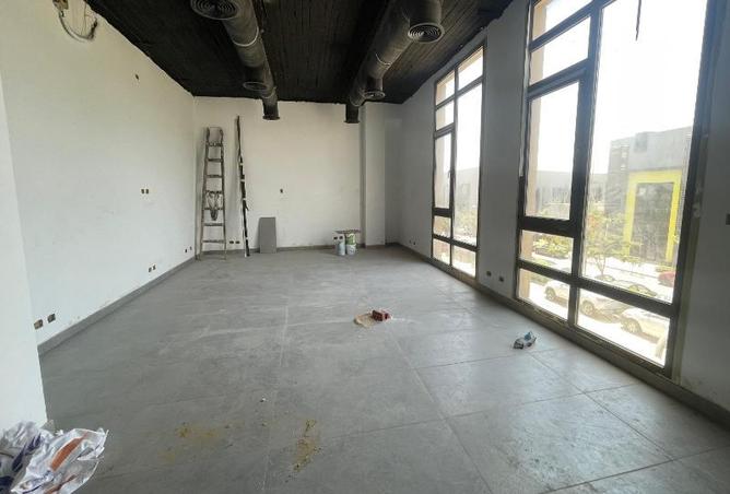 8135800 - Property Image 3
