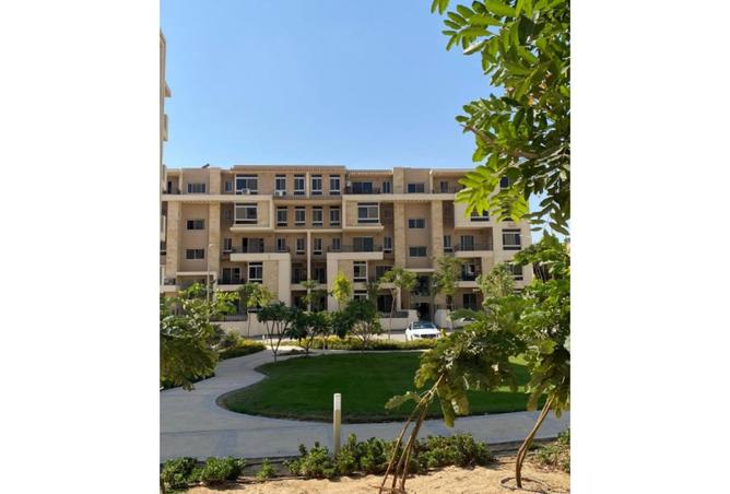 7920893 - Property Image 3