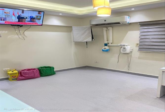 7988427 - Property Image 3