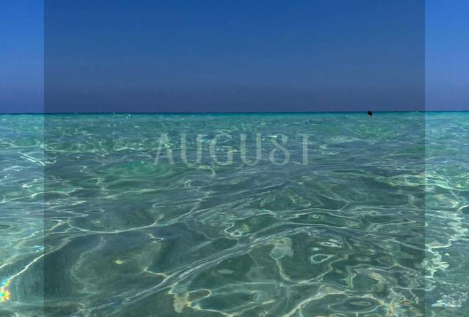 8135528 - صورة العقار 3