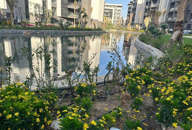 8293451 - صورة العقار 2