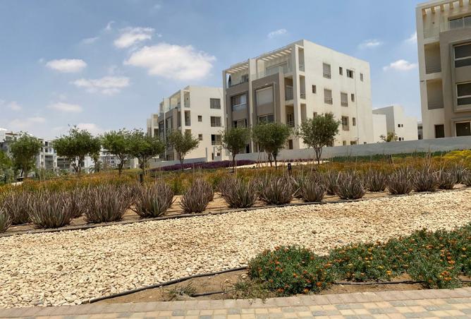 8219099 - Property Image 3