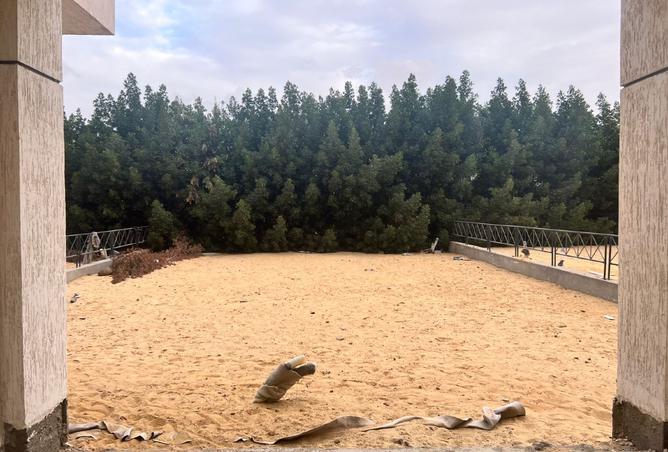 8366917 - صورة العقار 3