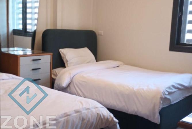 8237848 - Property Image 3