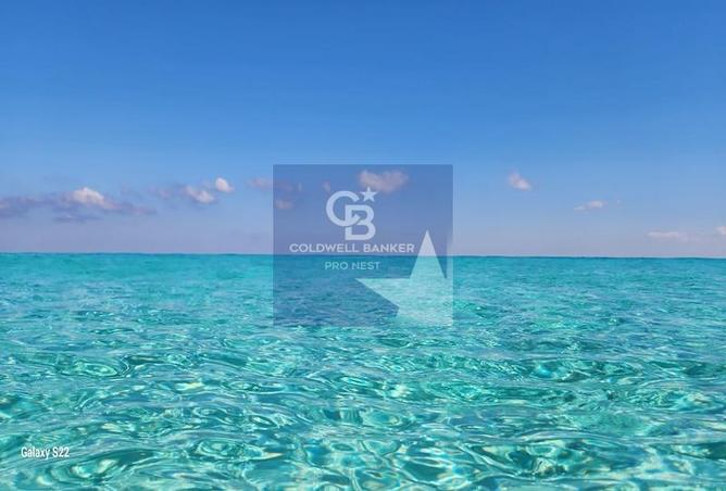 7981627 - Property Image 2