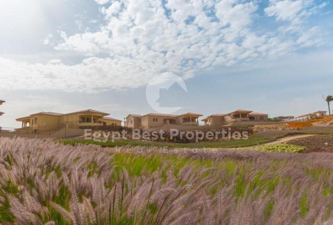 8285089 - Property Image 3