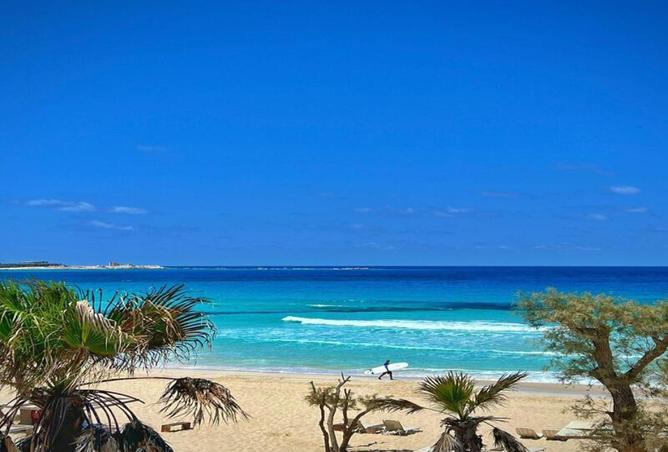 8331588 - صورة العقار 3