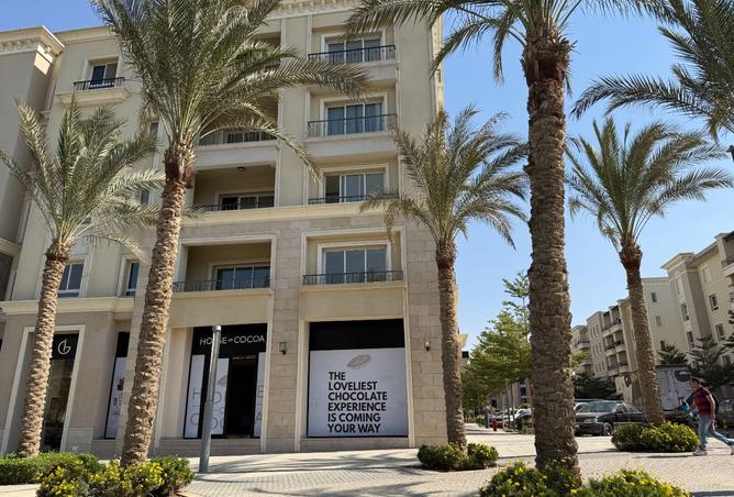 8163256 - Property Image 2