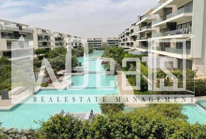 8286666 - Property Image 3