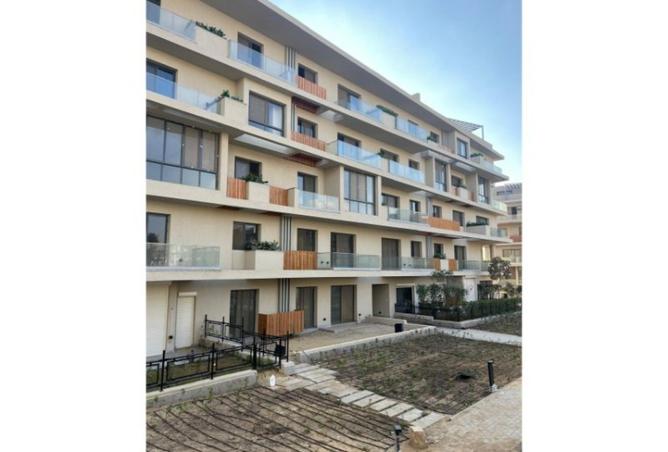 8316156 - Property Image 2