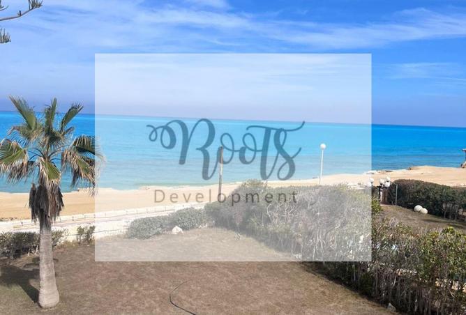 8017750 - Property Main Image